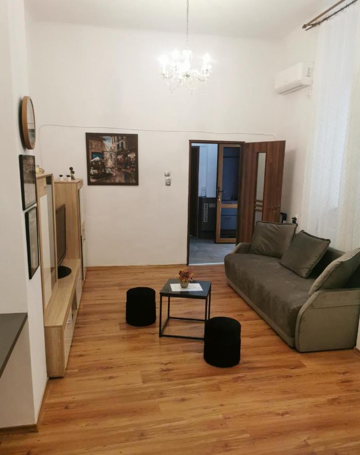 Central Designer Flat Орадя Экстерьер фото
